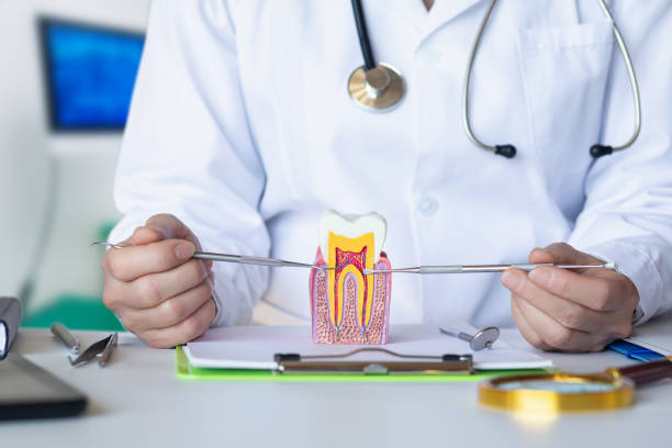 Best Emergency Broken Tooth Repair in Roeland Park, KS